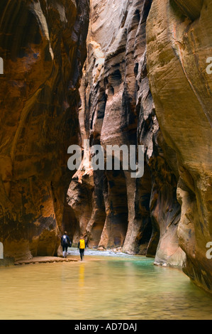 Les randonneurs de la Virgin River Narrows Zion National Park Utah Banque D'Images