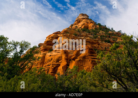 High Desert rock formation de grès et d'arbustes le long de la terrasse, Kolob Zion National Park Utah Banque D'Images