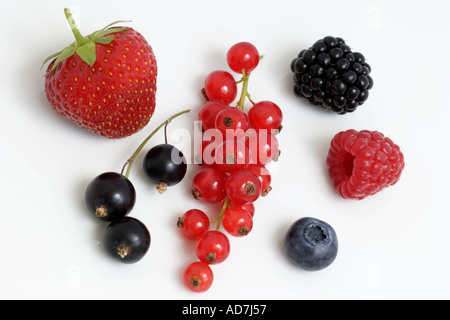 Blackberry fraises groseilles rouges framboise cassis et myrtille Banque D'Images