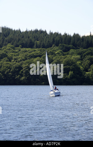 La voile sur le lac Windermere Cumbria England Banque D'Images