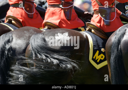Gendarmerie royale du Canada GRC Carrousel Banque D'Images