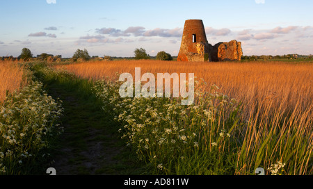 St Benet s'abbaye sur un soir de printemps, Norfolk Broads Banque D'Images