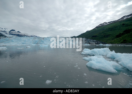 Des blocs de glace dans la baie en face du glacier Columbia, Prince William Sound, Alaska, USA Banque D'Images