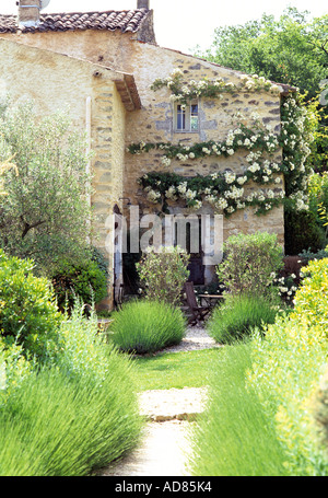 Bâtiment traditionnel en pierre avec rosier grimpant en Français Banque D'Images
