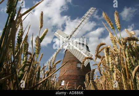 Thaxted moulin a été construit par John Webb, un agriculteur local, propriétaire terrien dans l'Essex en 1804 Banque D'Images