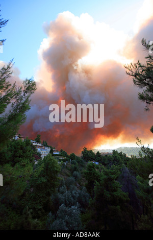 Grèce SPORADES SKIATHOS ISLAND LA LUTTE CONTRE UN INCENDIE DE FORÊT SAUVAGE LE 12 JUILLET 2007 Banque D'Images