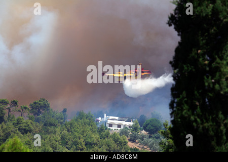 Grèce SPORADES SKIATHOS ISLAND LA LUTTE CONTRE UN INCENDIE DE FORÊT SAUVAGE LE 12 JUILLET 2007 Banque D'Images