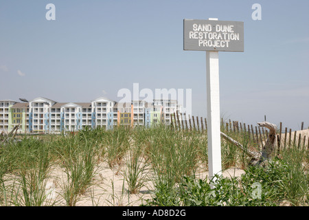 Virginia Beach,Sandbridge Beach,Little Island District Park,panneau,projet de restauration des dunes de sable,VA070612153 Banque D'Images