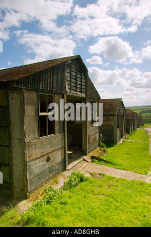 Camp de Prisonniers Harperley Banque D'Images