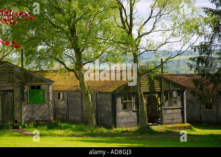 Camp de Prisonniers Harperley Banque D'Images