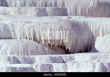 Mammoth Hot Spring Terrasse Parc National de Yellowstone. USA Banque D'Images