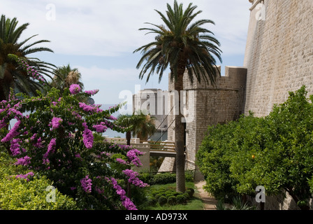 La porte PLOCE entrée dans la ville fortifiée de Dubrovnik, montrant plus de pont-levis des douves. Banque D'Images