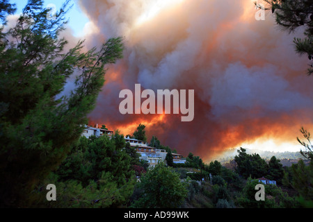 Grèce SPORADES SKIATHOS ISLAND LA LUTTE CONTRE UN INCENDIE DE FORÊT SAUVAGE LE 12 JUILLET 2007 Banque D'Images