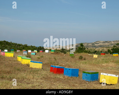 Rangée de ruches colorées dans les montagnes en Grèce Banque D'Images