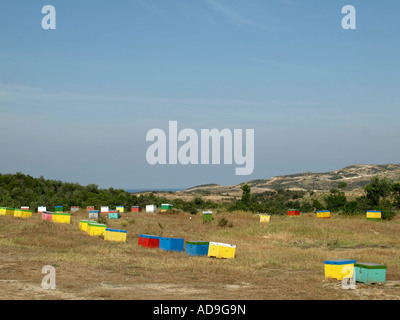 Rangée de ruches colorées dans les montagnes en Grèce Banque D'Images