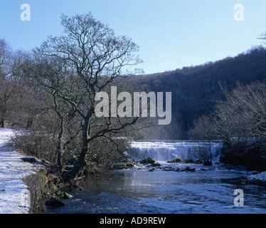 Weir sur la rivière Wye, Dale Monsal, parc national de Peak District, Derbyshire, Angleterre, RU Banque D'Images