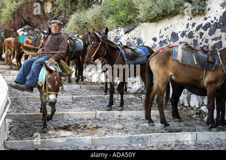 L'âne domestique (Equus asinus asinus. f), vieil homme à cheval sur un âne, Grèce, Santorin, Thira Banque D'Images