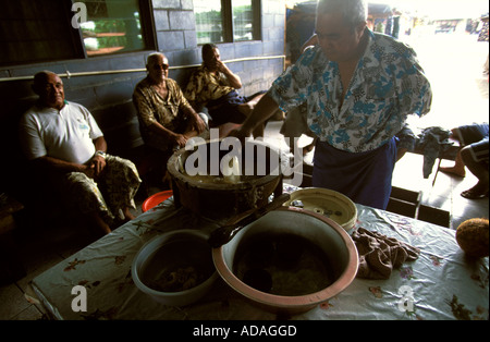 Samoa une cérémonie Kava officiel Banque D'Images