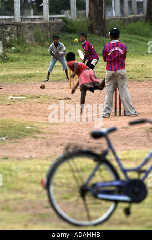 Negombo garçons à jouer au cricket Banque D'Images