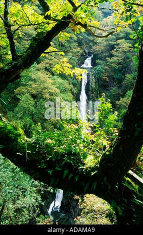 Afon Mynach Falls sur la rivière Rheidol Devils Bridge ci-dessous, dans la vallée de près de Rheidol Aberystwyth, Dyfed, West Wales, UK Banque D'Images