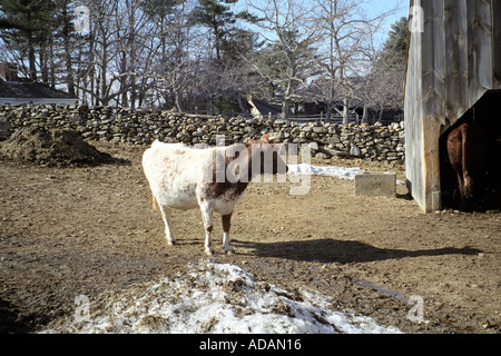 En dehors de la grange de Sturbridge Massachusetts Banque D'Images