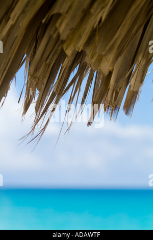 Bord d'une paille / palm parasol tropical avec les eaux de l'océan bleu de la mer en arrière-plan Banque D'Images