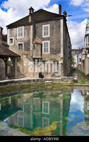 Reflet des capacités dans le lavoir (lavoire), Fosse Dionne, tonnerre, Bourgogne, France. Banque D'Images