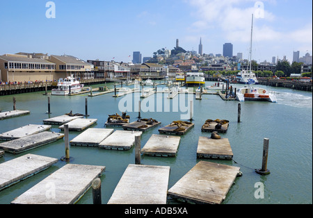 Pier 39 San Francisco Banque D'Images