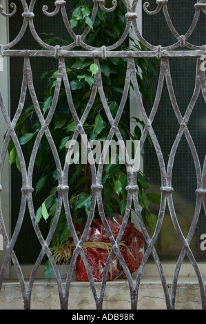 Plantes en pot dans la fenêtre assis derrière la grille de fer Banque D'Images