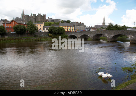 Avis de macapa à vers le château sur la rivière Slaney Banque D'Images