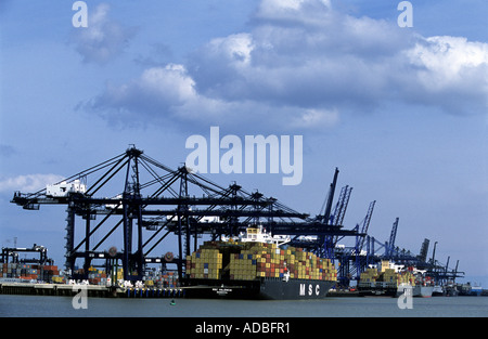 Trinity quai du port de Felixstowe dans le Suffolk, le premier terminal à conteneurs. Banque D'Images