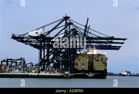 Trinity quai du port de Felixstowe dans le Suffolk, le premier terminal à conteneurs. Banque D'Images