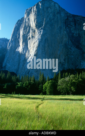 El Capitan célèbre monolithe sur soir lumière du Parc National Yosemite Valley Sierra Nevada California USA Banque D'Images