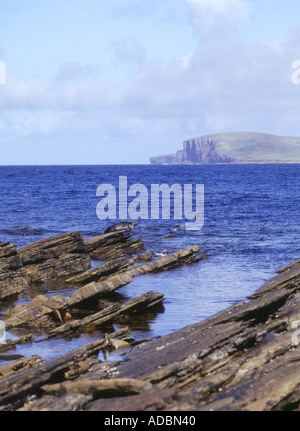 Dh Selwick HOY ORKNEY les phoques sur la côte rocheuse de la faune de l'écosse rock Banque D'Images