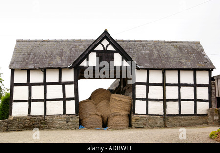 Cadre en bois noir et blanc grange avec toiture en ardoise sur ferme à Pembridge Herefordshire Angleterre UK Banque D'Images