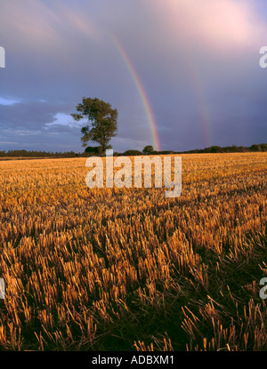 Double arc-en-ciel vu au-dessus d'un champ, près du village de Skamby, Fionie, Danemark. Banque D'Images