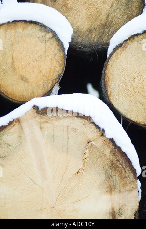 Pile de bois couverte de neige Banque D'Images