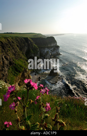 Les Roches Blanches, Portrush, co Antrim, en Irlande du Nord Banque D'Images