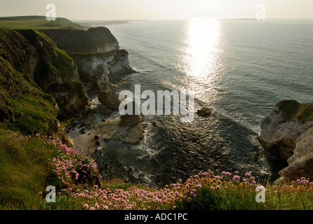 Les Roches Blanches, Portrush, co Antrim, en Irlande du Nord Banque D'Images