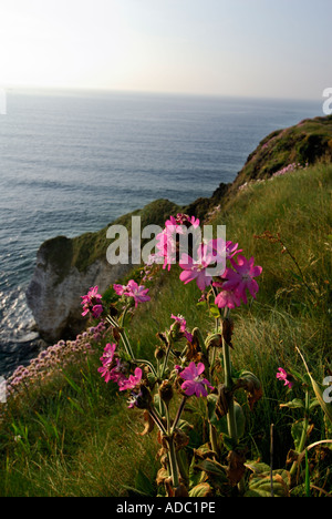 Les Roches Blanches, Portrush, co Antrim, en Irlande du Nord Banque D'Images