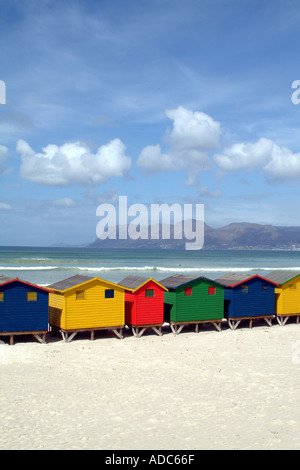 Cabines de plage de couleur à Muizenberg, près de Cape Town Afrique du Sud RSA False Bay Banque D'Images