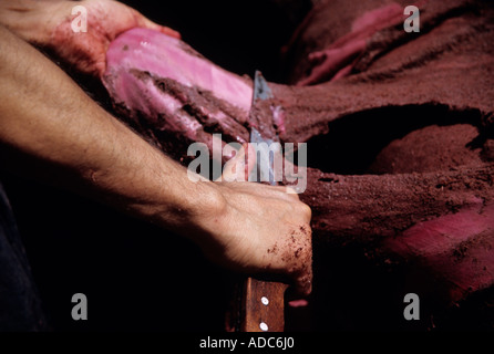 Portrait d'un homme en cuir raclant à l'aide d'un couteau, les Tanneries de Fès, Maroc Banque D'Images
