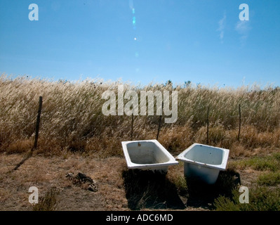 Deux vieilles baignoires avec de l'eau potable pour les chevaux se trouvent dans un champ ensoleillé dans le sud de la france Banque D'Images