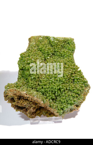 Pyromorphite vert profond, minéral, cristaux, Cheng Long Quangxi, Chine Banque D'Images