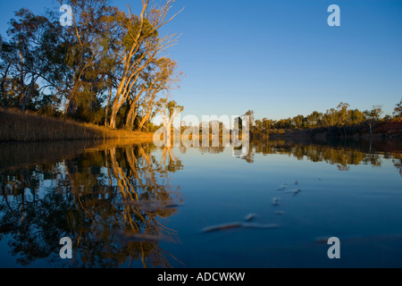 La fin de l'après-midi sur le fleuve Murray près de Mildura, Australie. Banque D'Images