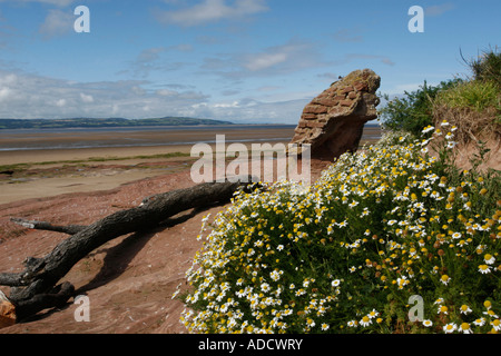 Voir l'estuaire de la Dee à partir d'une des îles Hilbre - peu dans les yeux. Banque D'Images