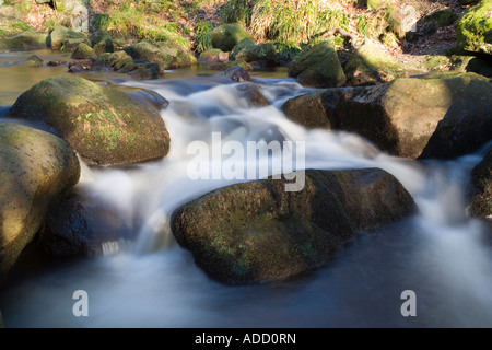 Burbage Brook qui coule à travers la gorge, Padley Peak District, Derbyshire, Royaume-Uni Banque D'Images