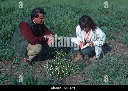 Farmer discuter mis de côté les procédures avec advisor dans domaine Gloucester UK Banque D'Images