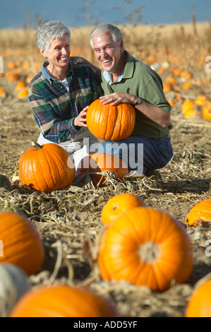 Young couple sourire tout en choisissant en citrouille citrouilles Banque D'Images