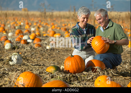 Young couple sourire tout en choisissant en citrouille citrouilles Banque D'Images